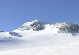 Vinson